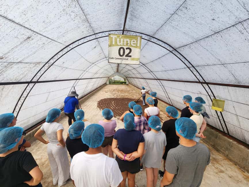 Monte Alto Factory Coffee Tour: Jarabacoa Experience - Key Points at Café Monte Alto