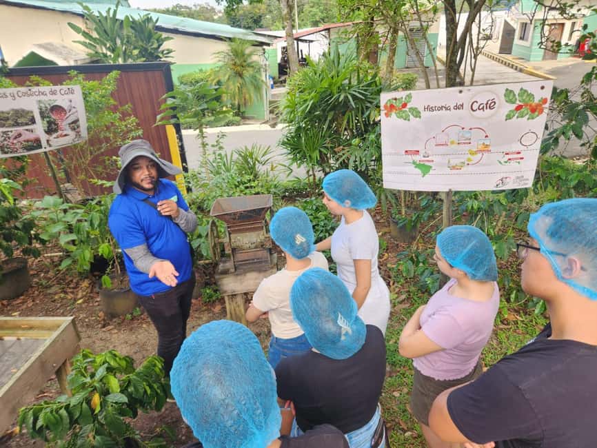 Monte Alto Factory Coffee Tour: Jarabacoa Experience - Seeing Raw Beans Become Finished Coffee