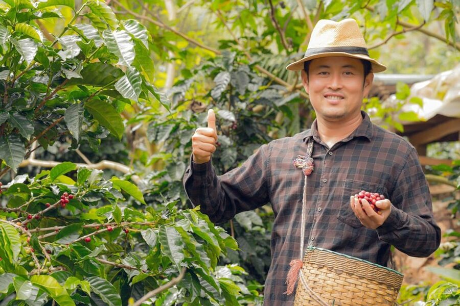 Most complete COFFEE TOUR at local family farm - Colombian food adds a local touch