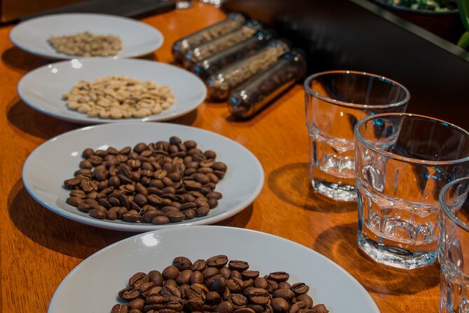N1 Coffee Tasting Experience in Buenos Aires - Meeting Lyubov at Al Diablo Coffee Roasters
