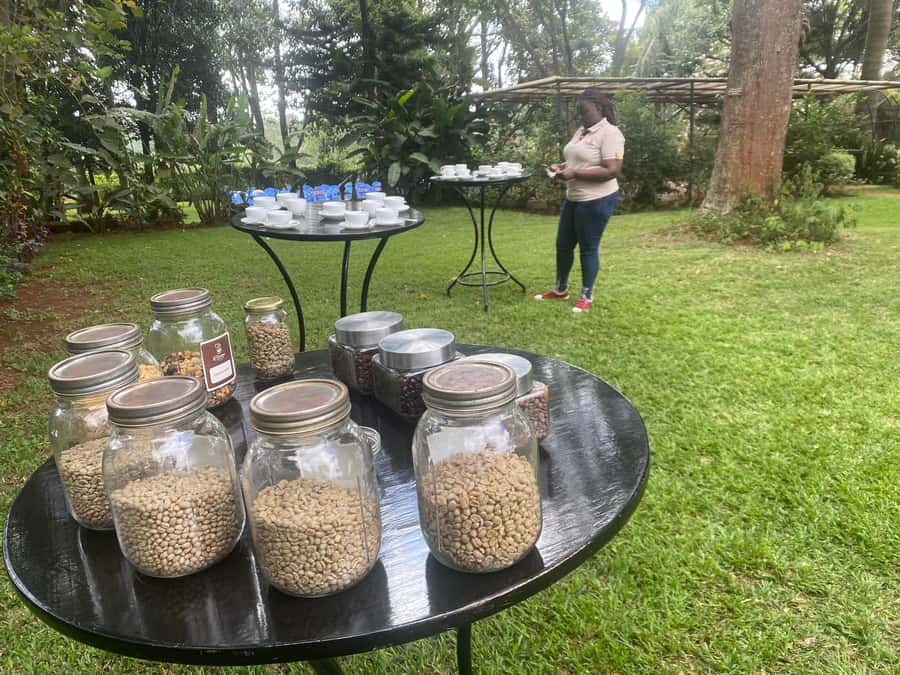 Nairobi: Coffee Factory and Farm Tour with Transfer - Why Fairview makes a good Nairobi side trip