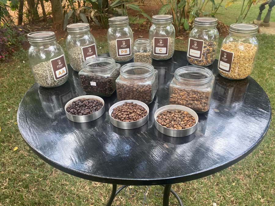 Nairobi: Coffee Factory and Farm Tour with Transfer - The one-hour ride from Nairobi to Limuru