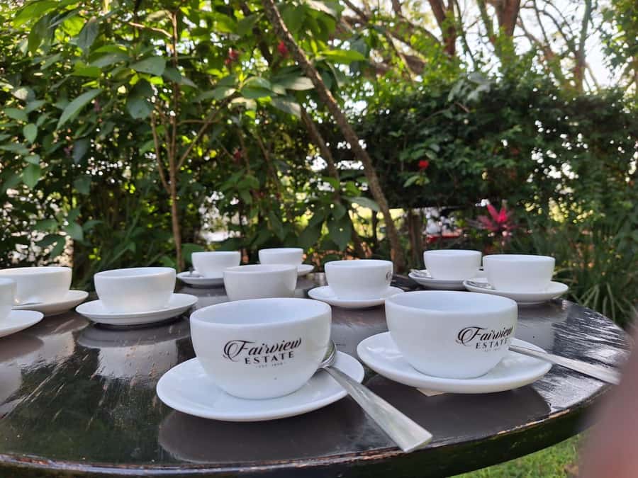 Nairobi: Coffee farm tour with pick up - Key points to know before you go