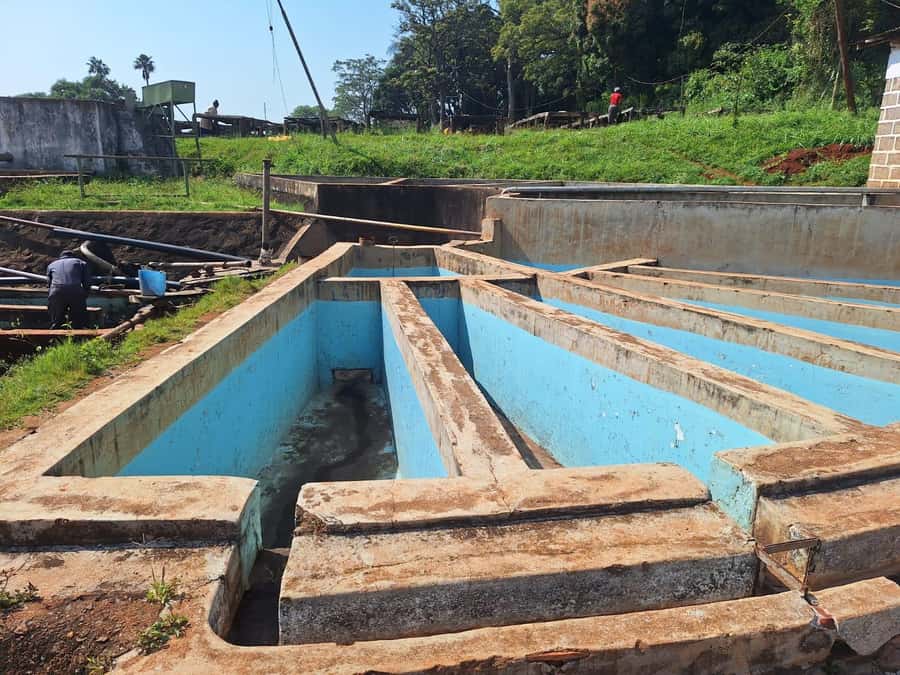 Nairobi: Coffee farm tour with pick up - Who will enjoy this coffee tour?