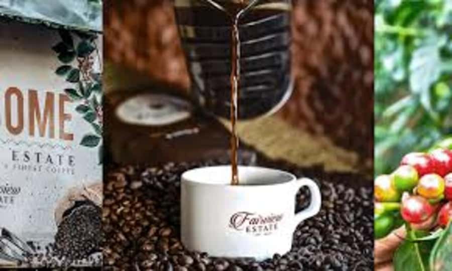 Nairobi: Fairview Coffee Estate Tour with Pickup - Following cherries through the wet and dry mills