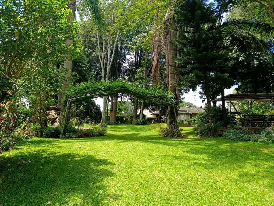 Nairobi: Fairview Coffee Estate Tour with Pickup - The jiko roasting workshop