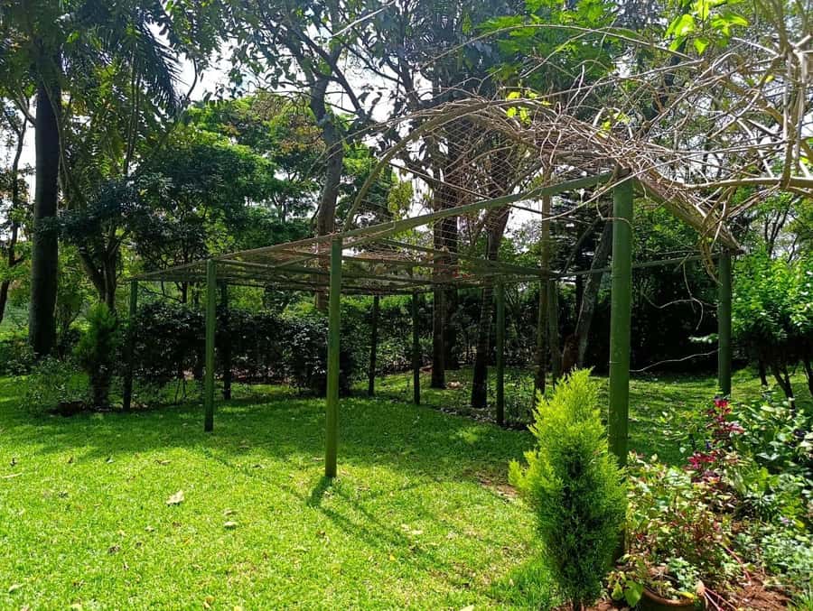 Nairobi: Fairview Coffee Estate Tour with Pickup - Best seasons and practical preparation