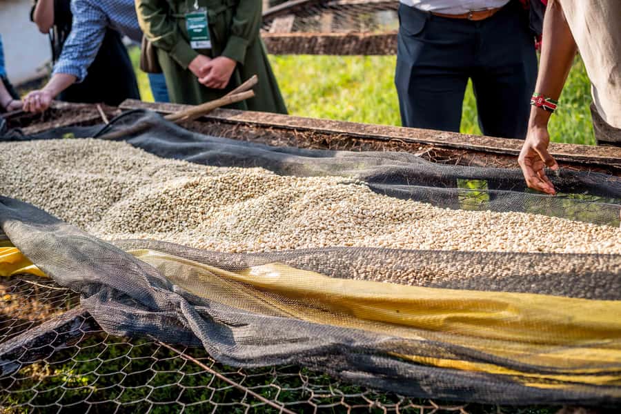 Nairobi: Guided Coffee Farm Tour with Tastings - What the $27 price really covers