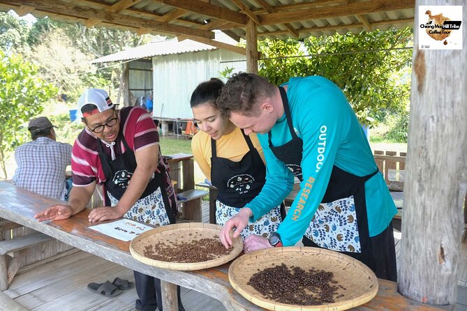 Off the Map Chiang Mai Jungle Coffee Trek Roast and Brew - Walking through coffee and medicinal plants