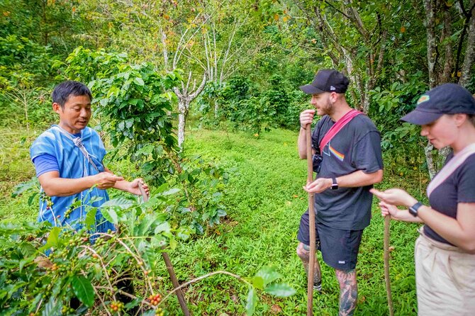 Off the Map Chiang Mai Jungle Coffee Trek Roast and Brew - Roasting beans over heat
