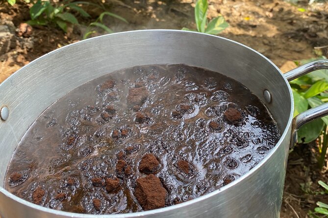 Organic Coffee Tour and Local Food Experience in Arusha - Meeting Cosmas and the local hosts