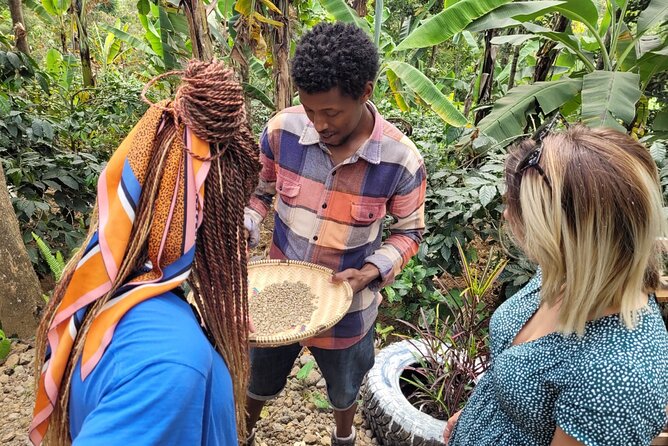 Organic Coffee Tour and Local Food Experience in Arusha - Who will enjoy this Arusha experience?