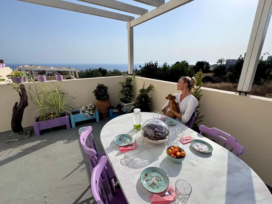 Paphos/ Peyia: Coffee, Cake, and Cuddles with Rescue Puppies - Key points at a glance