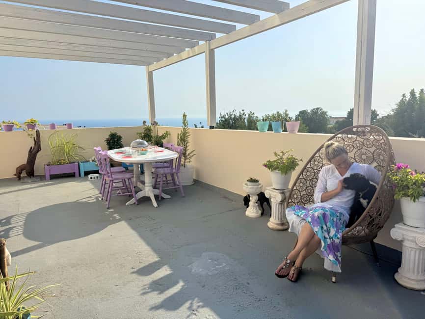 Paphos/ Peyia: Coffee, Cake, and Cuddles with Rescue Puppies - A quiet start at the last house in the street