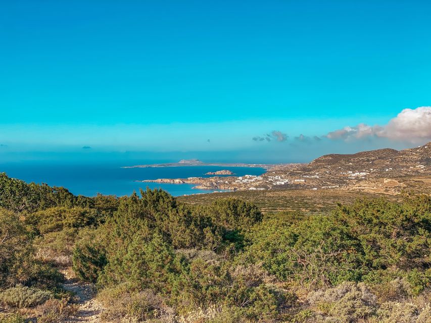 Pigadia: Agia Kyriaki Guided Hike with Coffee/Tea and Raki - The return through aromatic pine woods