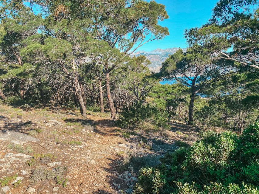 Pigadia: Agia Kyriaki Guided Hike with Coffee/Tea and Raki - Who should book this experience?