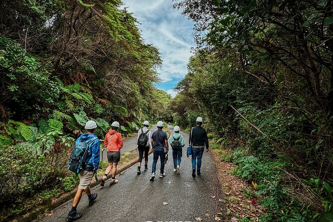 Poás Volcano and Coffee Tour with Tasting and La Paz Falls - Why this San José day trip works