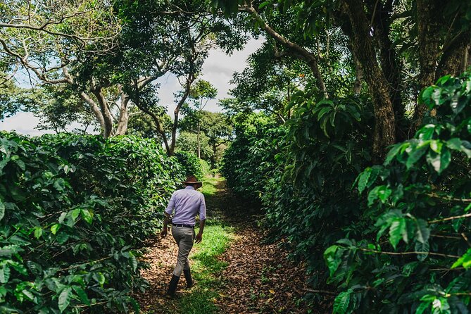 Poás Volcano and Coffee Tour with Tasting and La Paz Falls - La Paz Falls near Vara Blanca