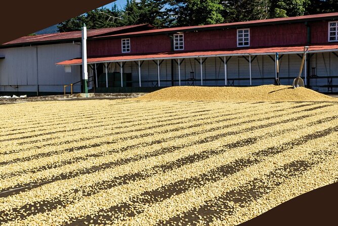 Poás Volcano and Coffee Tour with Tasting and La Paz Falls - Food, breaks and the money you should budget
