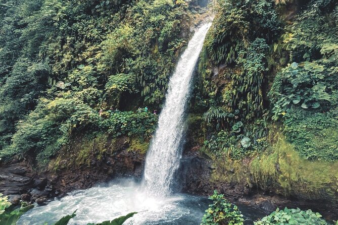 Poás Volcano and Coffee Tour with Tasting and La Paz Falls - The early ride from San José to Poás