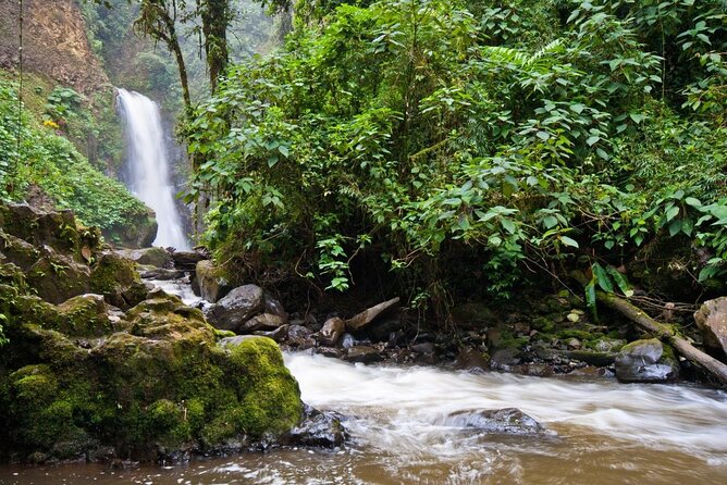 Poas Volcano + Coffee Plantations & La Paz Waterfall Gardens Trip from San Jose - Why this San Jose day trip works