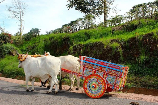 Poas Volcano + Coffee Plantations & La Paz Waterfall Gardens Trip from San Jose - Guides can shape the whole day