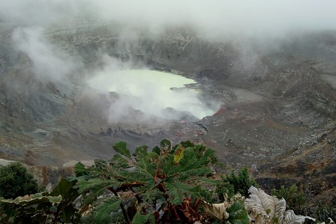 Poas Volcano + Coffee tour + Waterfall tour day from San Jose - Key points to know before booking