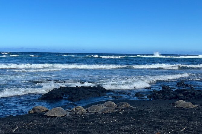 Private Big Island Tour: Coffee, Beaches, Volcanos, Waterfalls - Greenwell Farms: ten coffee samples and a look behind the cup