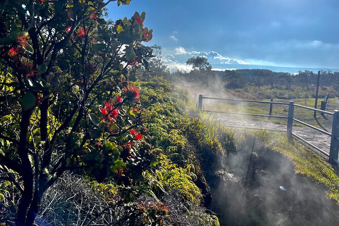Private Big Island Tour: Coffee, Beaches, Volcanos, Waterfalls - Hilo by van: bay views, gardens, and old trees