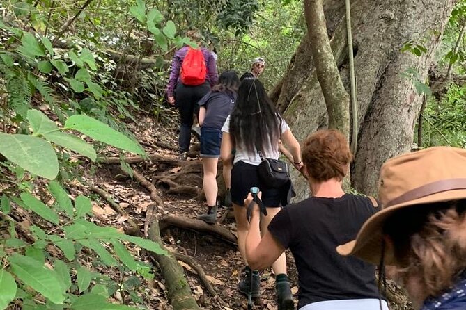 Private Canoeing, Cycling, Coffee and Hiking Tour in lake Duluti. - Hiking through Lake Duluti Forest