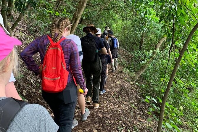 Private Canoeing, Cycling, Coffee and Hiking Tour in lake Duluti. - Who should book this Lake Duluti outing?