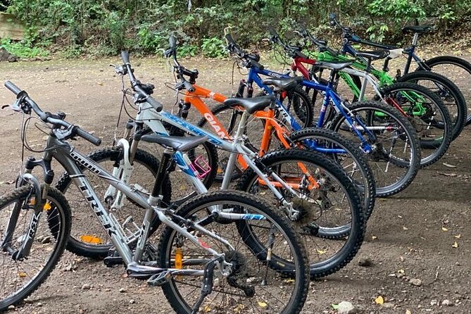 Private Canoeing, Cycling, Coffee and Hiking Tour in lake Duluti. - Canoeing on Lake Duluti for two quiet hours