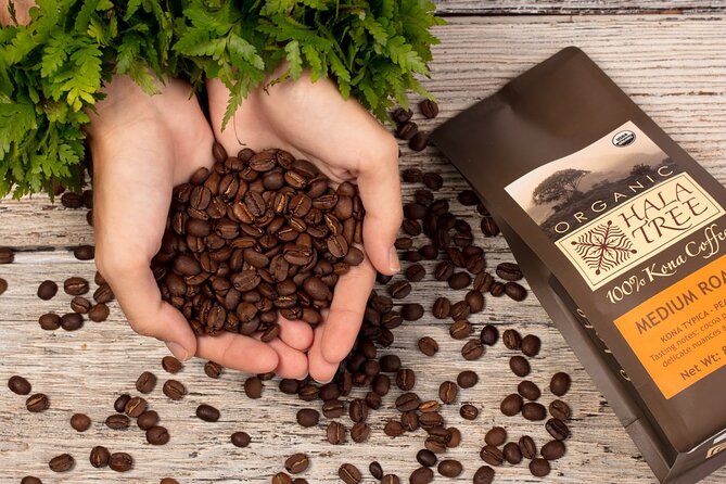 Private Coffee Roasting Class - Key points to know before booking