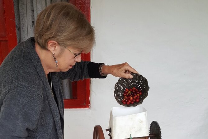 Private coffee tour near Medellín, from bean to cup. - Learning what changes the flavor