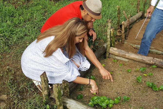 Private coffee tour near Medellín, from bean to cup. - From Medellín to Sabaneta by private car