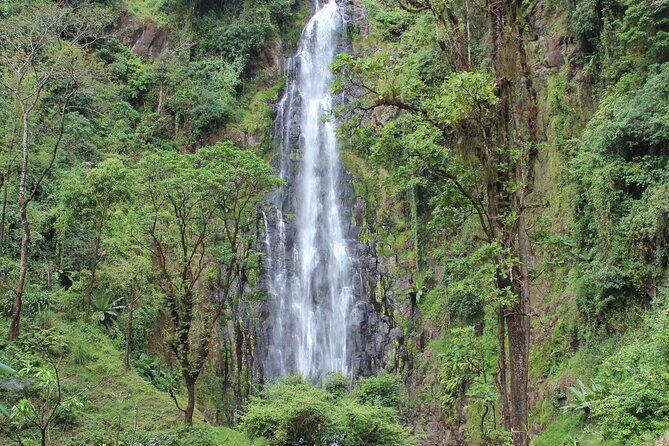 Private Day Trip to Materuni Waterfall and Coffee Tour - Key points to know before booking
