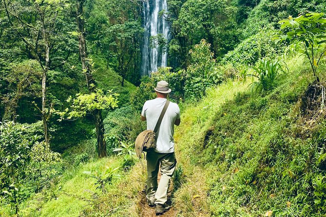 Private Day Trip to Materuni Waterfall and Coffee Tour - Starting from Moshi and heading toward Materuni