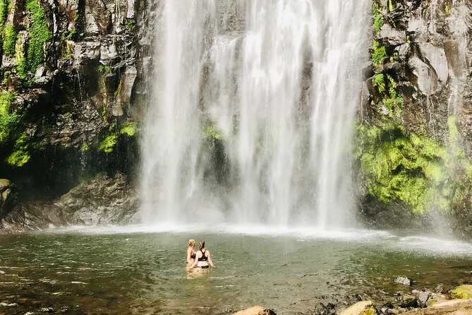 Private Day Trip to Materuni Waterfall and Coffee Tour - Guides, private transport, and group size