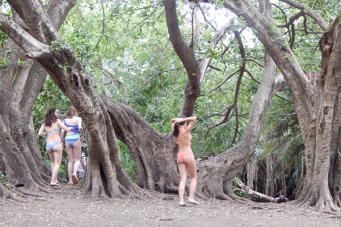 Private Full-Day Materuni Waterfall, Coffee and Hot-spring Tour in Moshi - Coffee and Chagga village traditions