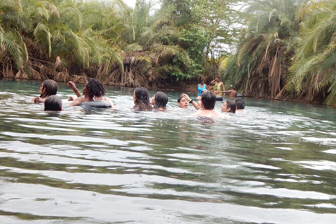 Private Full-Day Materuni Waterfall, Coffee and Hot-spring Tour in Moshi - What the $95 price actually covers