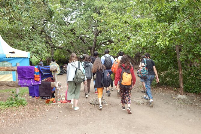 Private Full-Day Materuni Waterfall, Coffee and Hot-spring Tour in Moshi - Practical planning for a smoother day