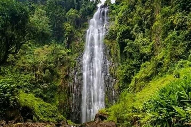 Private Materuni Waterfall & Coffee Tour. - A tall cascade and a cold natural pool
