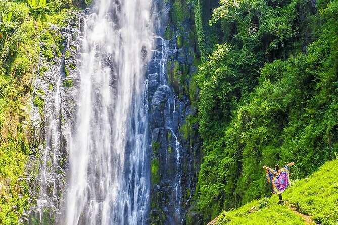 Private Materuni Waterfalls, Coffee Tour and Kikuletwa Hot Spring - Why this makes a strong Arusha day trip