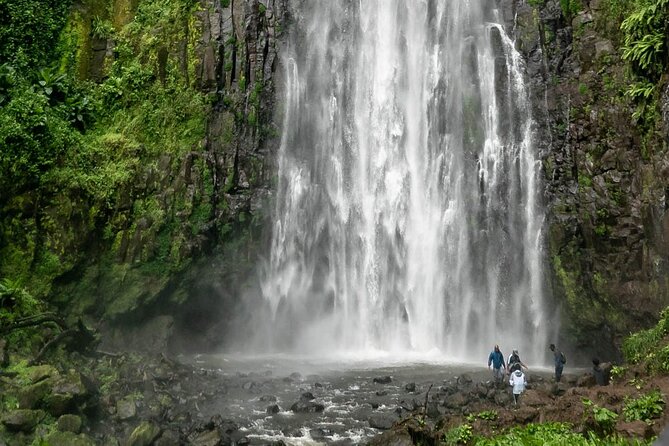 Private Materuni Waterfalls, Coffee Tour and Kikuletwa Hot Spring - Roasting coffee from bean to cup