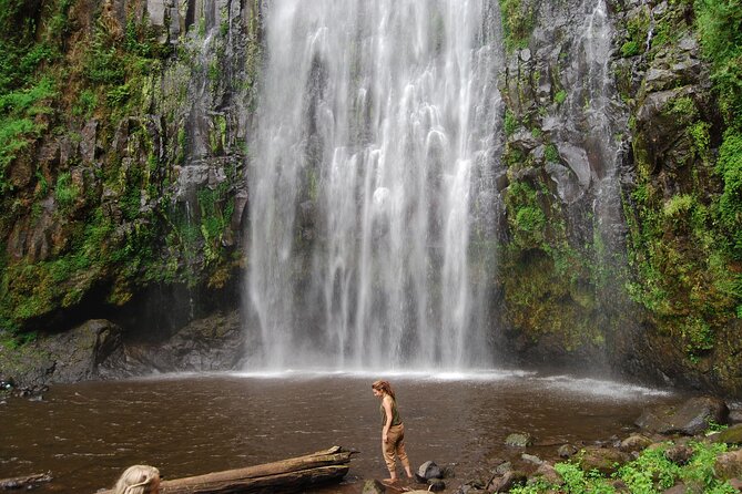 Private Materuni Waterfalls, Coffee Tour and Kikuletwa Hot Spring - Swimming at the clear Kikuletwa pools