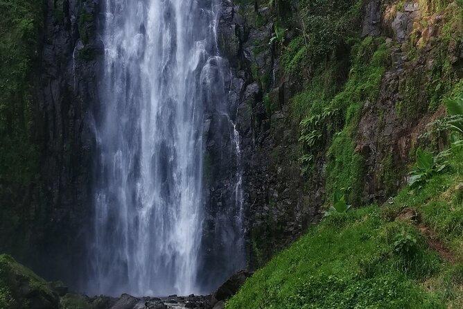 Private Materuni Waterfalls Hiking and Coffee Tour - Key Points to Know Before You Book
