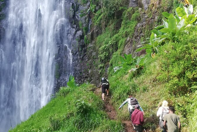 Private Materuni Waterfalls Hiking and Coffee Tour - Lunch, Private Transport, and the Real Value of $150