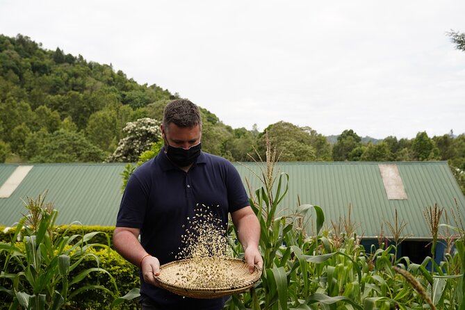 Private Meru Coffee Tour in Nkoaranga - Meeting The Small Things and its local purpose