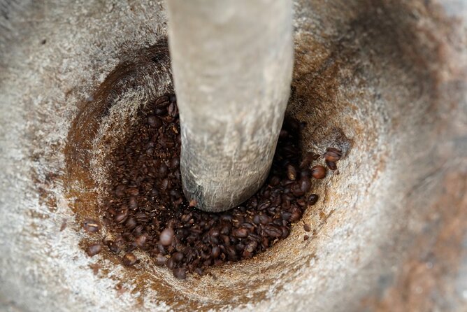 Private Meru Coffee Tour in Nkoaranga - A private format with room for questions
