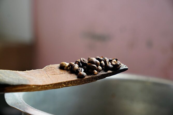 Private Meru Coffee Tour in Nkoaranga - Who will enjoy this coffee visit most